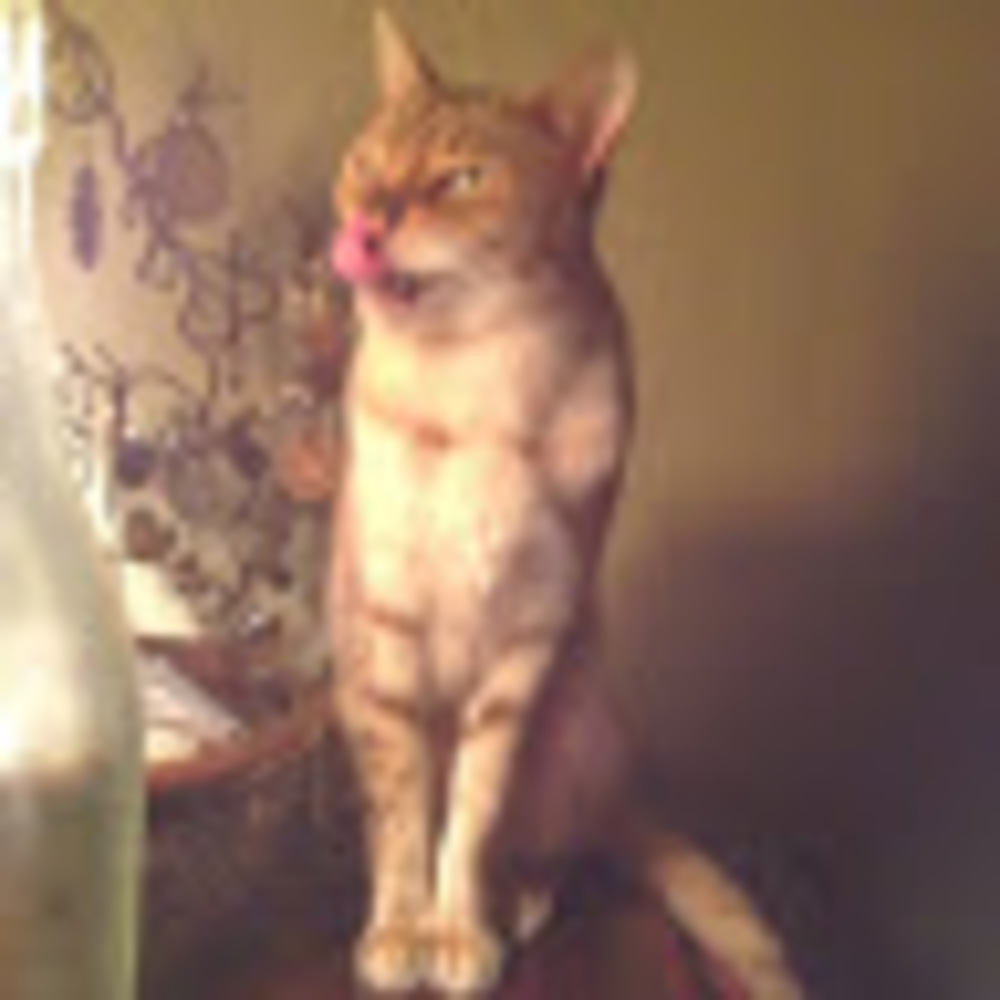 Meet your Posher, Maria